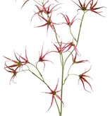 Blumenzweig 'Spider', 2x verzweigt mit 17 Blumen, 70 cm