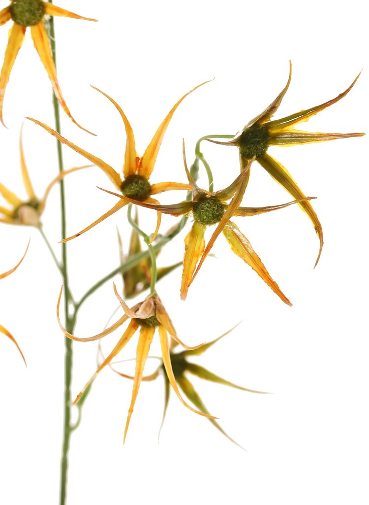 Flower branch 'Spider', 2x branched with 17 flowers, 70 cm