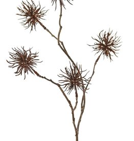 Allium wild mini 'Earthy Garden' 4x branched with 5 flowers (Ø 5 cm), 68 cm