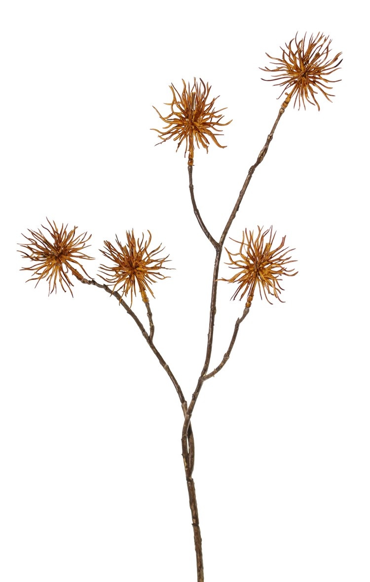 Allium wild mini 'Earthy Garden' 4-fach verzweigt mit 5 Blüten (Ø 5 cm), 68 cm