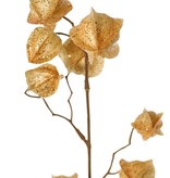 Physalis branch (gooseberry / goldenberry) 'Earthy Garden' with 11 calyx (4x XL/ 4x M / 3x S) with glitter, 80 cm