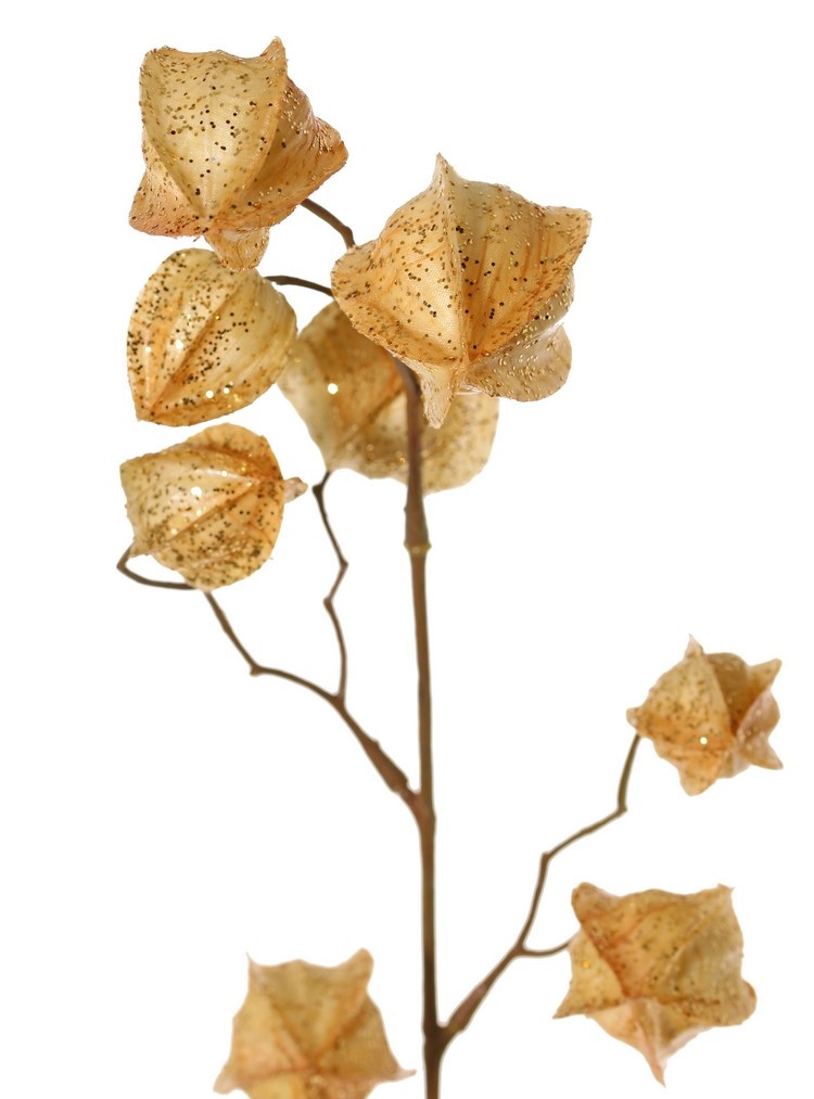 Physalis branch (gooseberry / goldenberry) 'Earthy Garden' with 11 calyx (4x XL/ 4x M / 3x S) with glitter, 80 cm