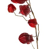 Physalis branch (gooseberry / goldenberry) 'Earthy Garden' with 11 calyx (4x XL/ 4x M / 3x S) with glitter, 80 cm