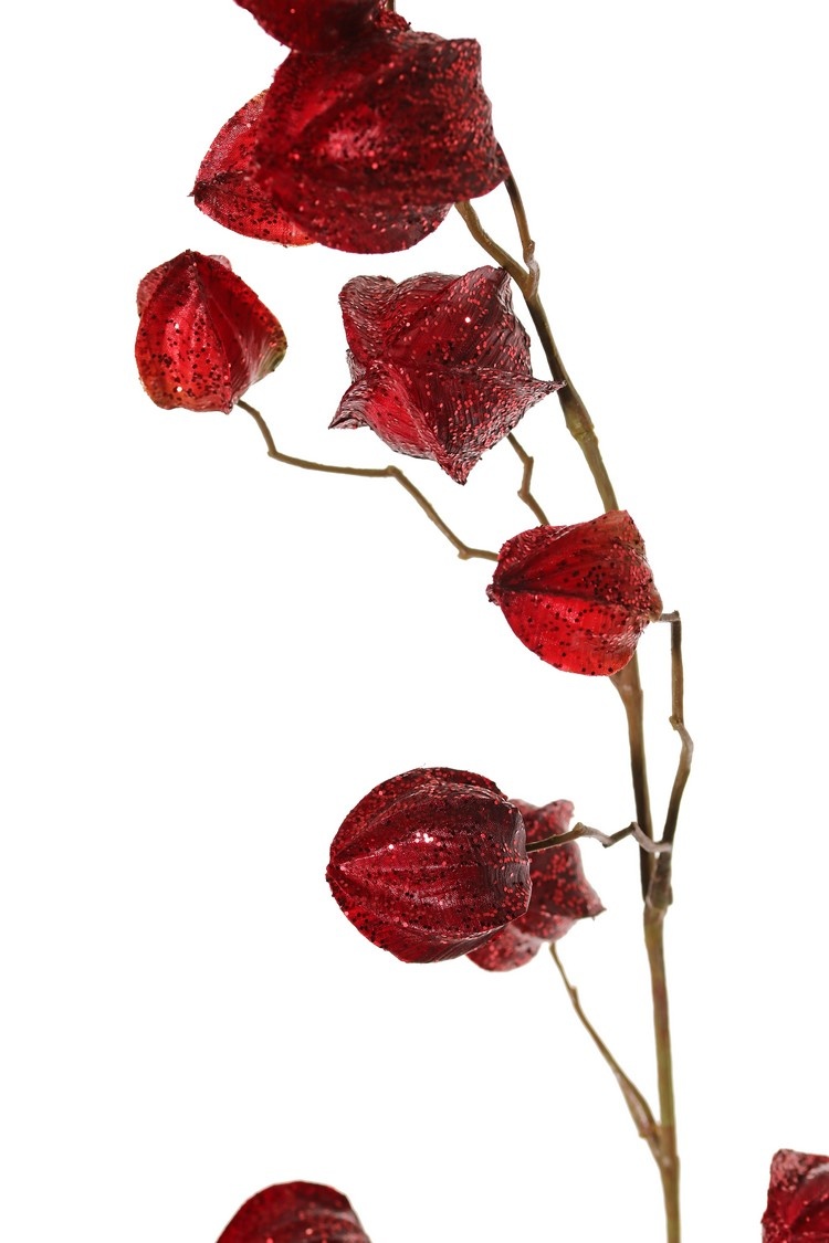 Physalis branch (gooseberry / goldenberry) 'Earthy Garden' with 11 calyx (4x XL/ 4x M / 3x S) with glitter, 80 cm