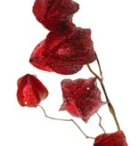 Physalis branch (gooseberry / goldenberry) 'Earthy Garden' with 11 calyx (4x XL/ 4x M / 3x S) with glitter, 80 cm