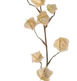 Physalis branch (gooseberry / goldenberry) 'Earthy Garden' with 11 calyx (4x XL/ 4x M / 3x S) with glitter, 80 cm