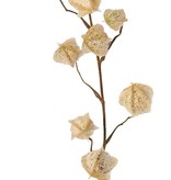 Physaliszweig (Blasenkirsche) 'Earthy Garden' mit 11 Lampionen (4x XL/ 4x M / 3x S) mit Glitter, 80 cm