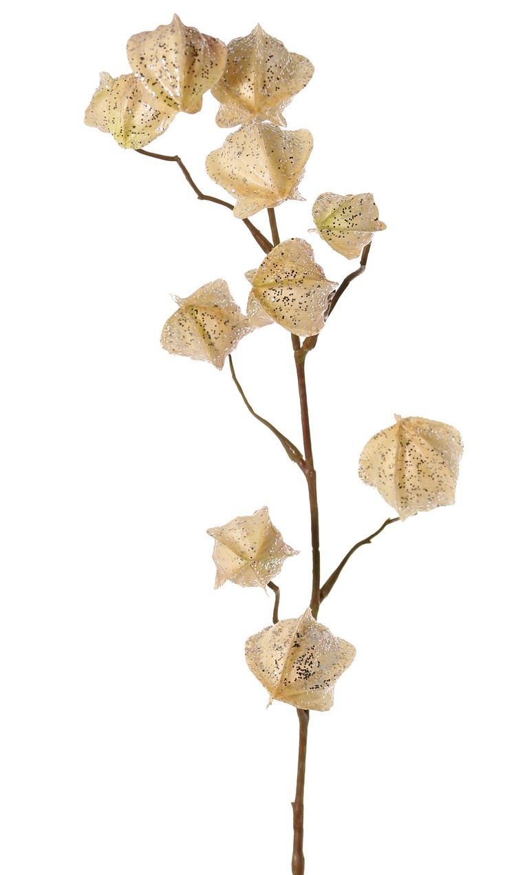 Physalis branch (gooseberry / goldenberry) 'Earthy Garden' with 11 calyx (4x XL/ 4x M / 3x S) with glitter, 80 cm