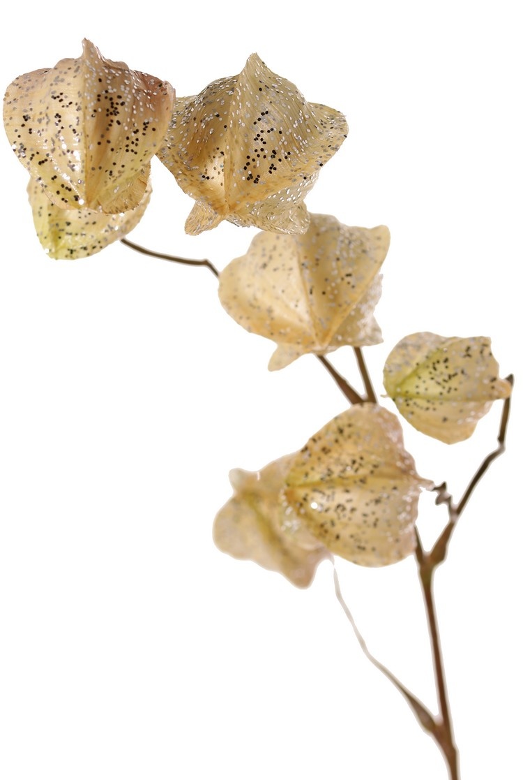 Physalis branch (gooseberry / goldenberry) 'Earthy Garden' with 11 calyx (4x XL/ 4x M / 3x S) with glitter, 80 cm