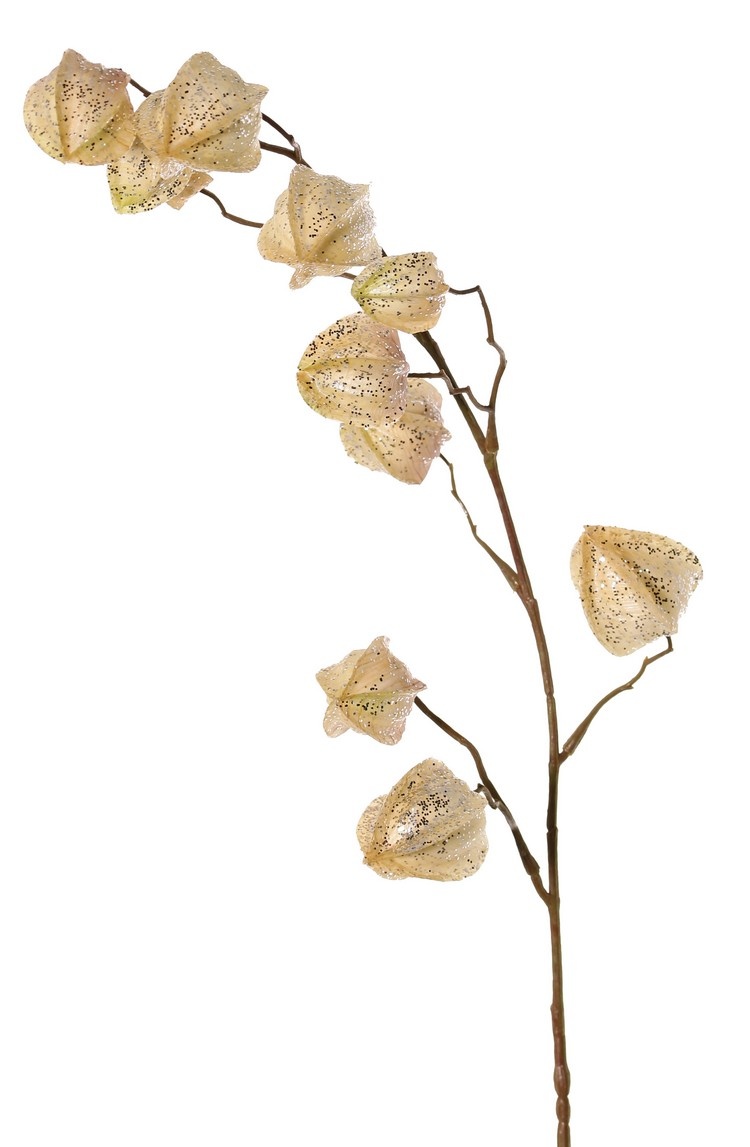 Physalis branch (gooseberry / goldenberry) 'Earthy Garden' with 11 calyx (4x XL/ 4x M / 3x S) with glitter, 80 cm