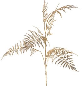 Asparagus branch 'Winter Glow' medium, with 7 leaves, 86 cm