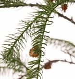 Pinustak hangend, x18 clusters pinusblad, x10 plastic dennen, 106cm