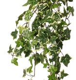 Hedera / Efeu helix telecurl, 13x verzweigt, 164 Blätter, schwer entflammbar, 75 cm