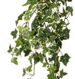 Hedera helix telecurl, 13x branched, 164 leaves, fire retardant, 75 cm