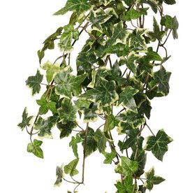 Hedera helix telecurl, 13x ramificada, 164 hojas, ignífuga, 75 cm