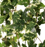 Hedera / Efeu helix telecurl, 13x verzweigt, 164 Blätter, schwer entflammbar, 75 cm