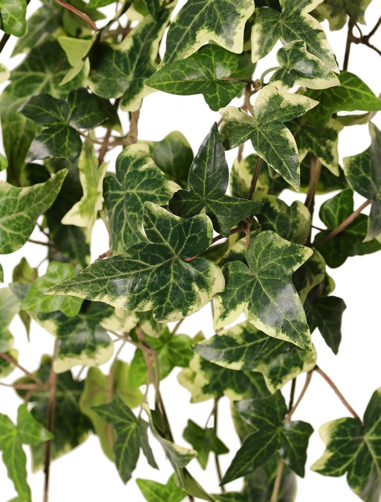 Hedera helix telecurl (Klimop), 13x vertakt, met 164 polyester bladeren, brandvertragend, 75 cm