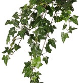 Hedera helix telecurl, 13x branched, 164 leaves, fire retardant, 75 cm