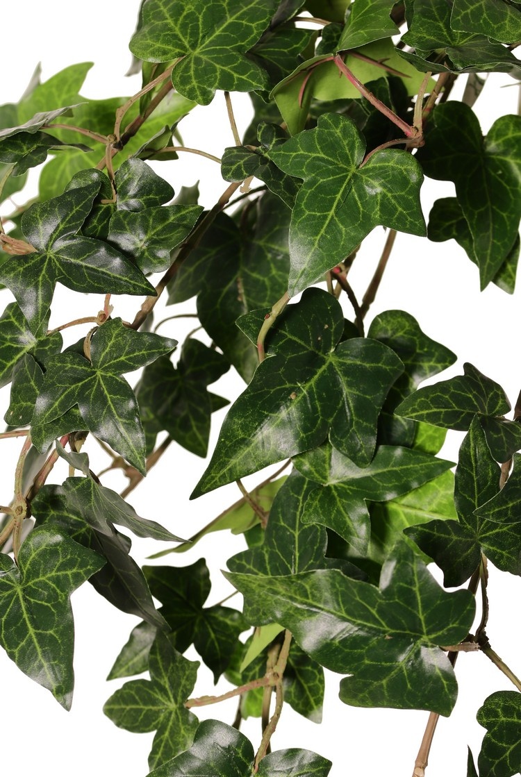 Hedera / Efeu helix telecurl, 13x verzweigt, 164 Blätter, schwer entflammbar, 75 cm