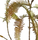 Asplenium (Dragon tail) fern branch, 27 fern leaves (13 cm), 100 cm