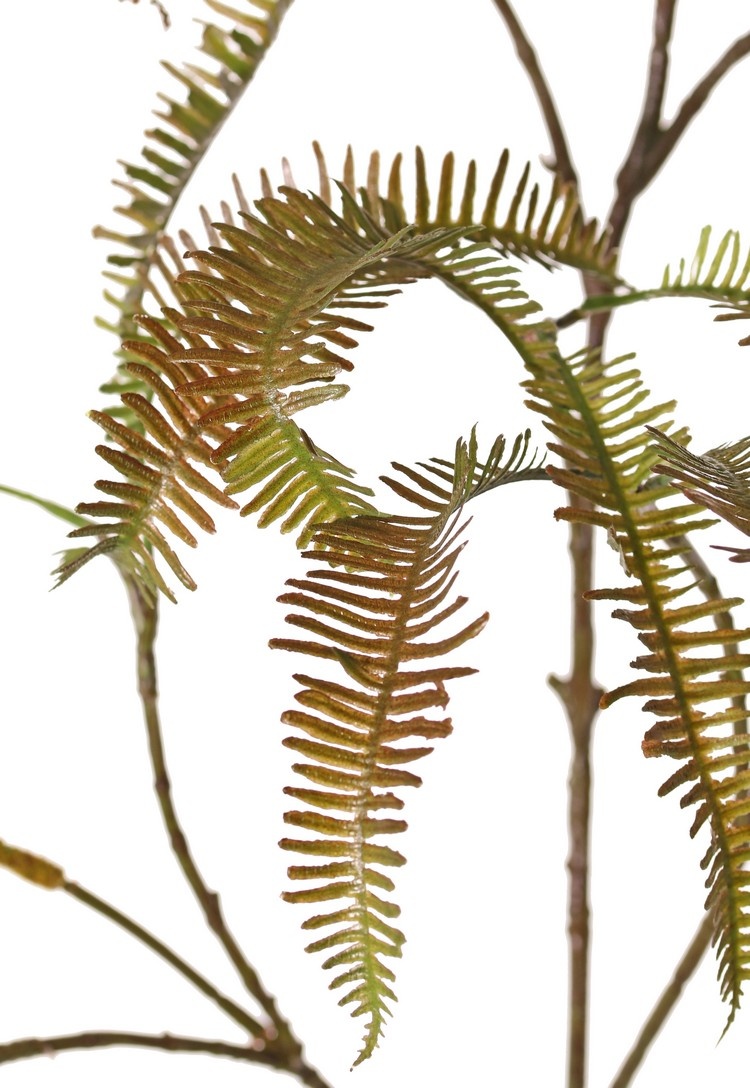 Asplenium (Dragon tail) fern branch, 27 fern leaves (13 cm), 100 cm