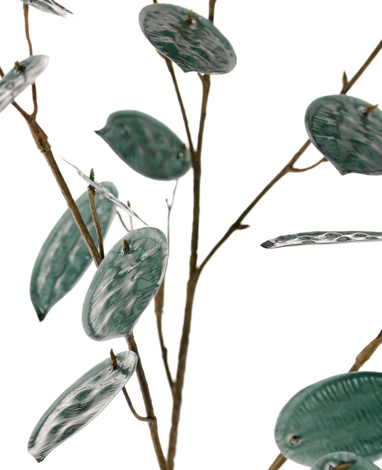 Judaspennig (Lunaria) 'Euphoria', 2x vertakt, 23 penningen (17x L / 6x M), (1st/zak) 91cm