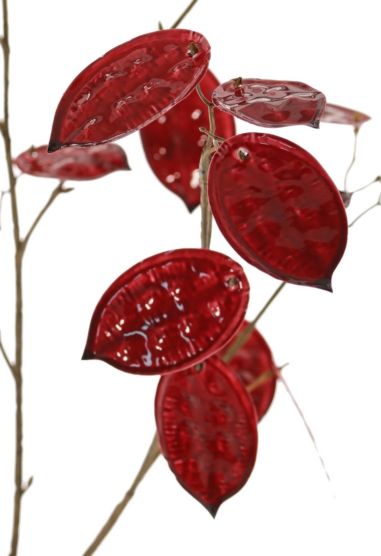 Lunaria, 23 hojas, 17x L / 6x M, 91 cm