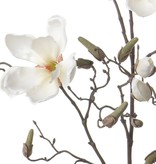 Magnolien-Zweig, 4 Blumen, 22 Knospen, 107cm