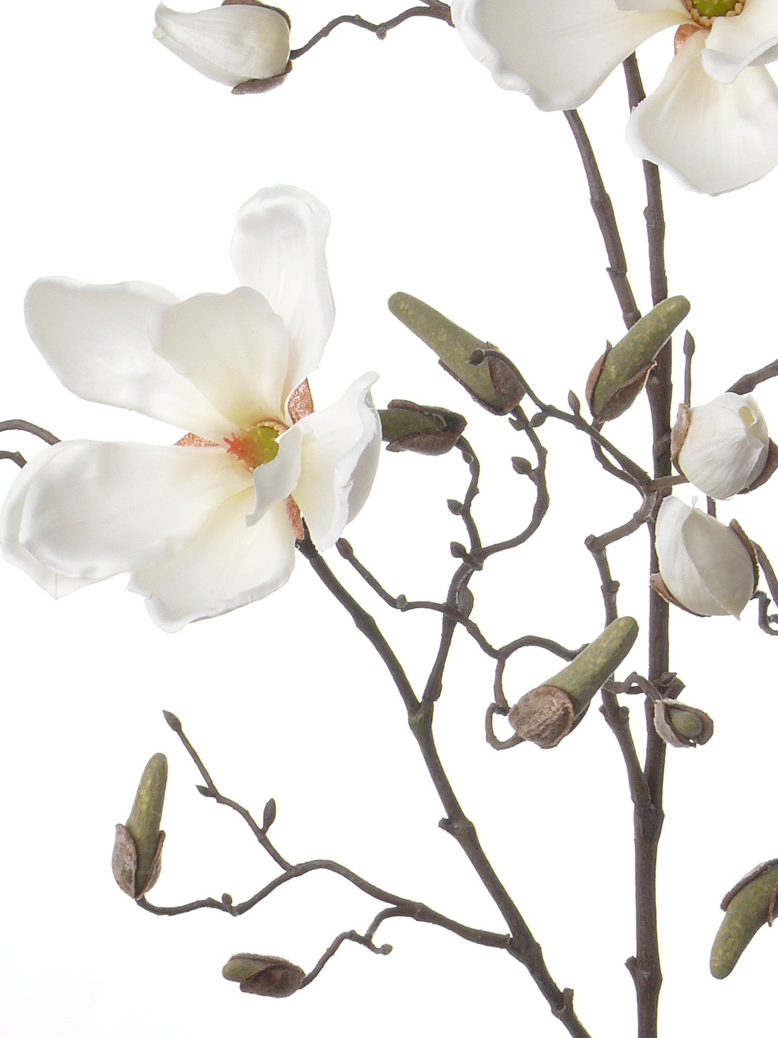 Magnolien-Zweig, 4 Blumen, 22 Knospen, 107cm