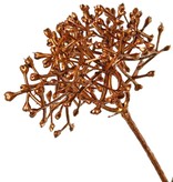 Skimmia branch 'Winter Glow' 5x branched, 8 inflorescences (2x L /2x M /2x S) 90 cm