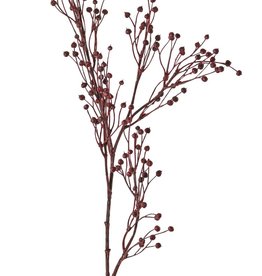 Flax, (Linum) 5x branched, 'Earthy Garden', 66 cm