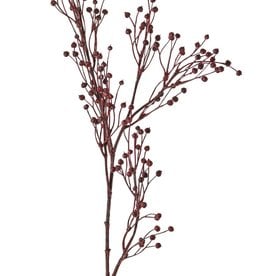 Lino (Linum) 5x ramificado 'Earthy Garden', 66 cm