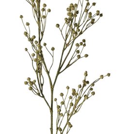 Flax, (Linum) 5x branched, 'Earthy Garden', 66 cm