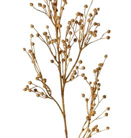 Flax, (Linum) 5x branched, 'Earthy Garden', 66 cm