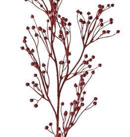 Flachs, Gemeiner Lein (Linum) 5x verzweigt 'Earthy Garden', 66 cm