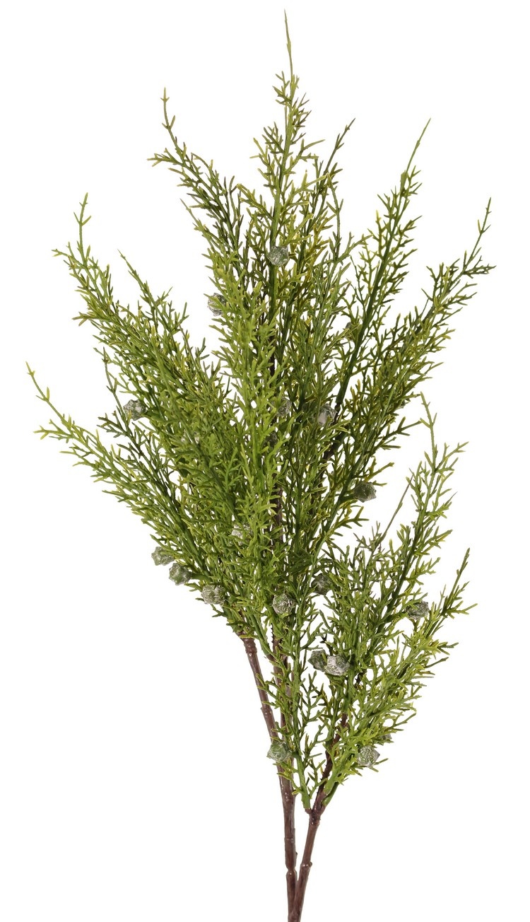 Juniper branch (Juniperus), 5x branched, 5 bunches of leaves, 30 berries, 83 cm