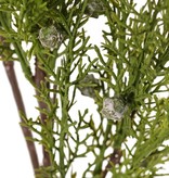 Juniper branch (Juniperus), 5x branched, 5 bunches of leaves, 30 berries, 83 cm