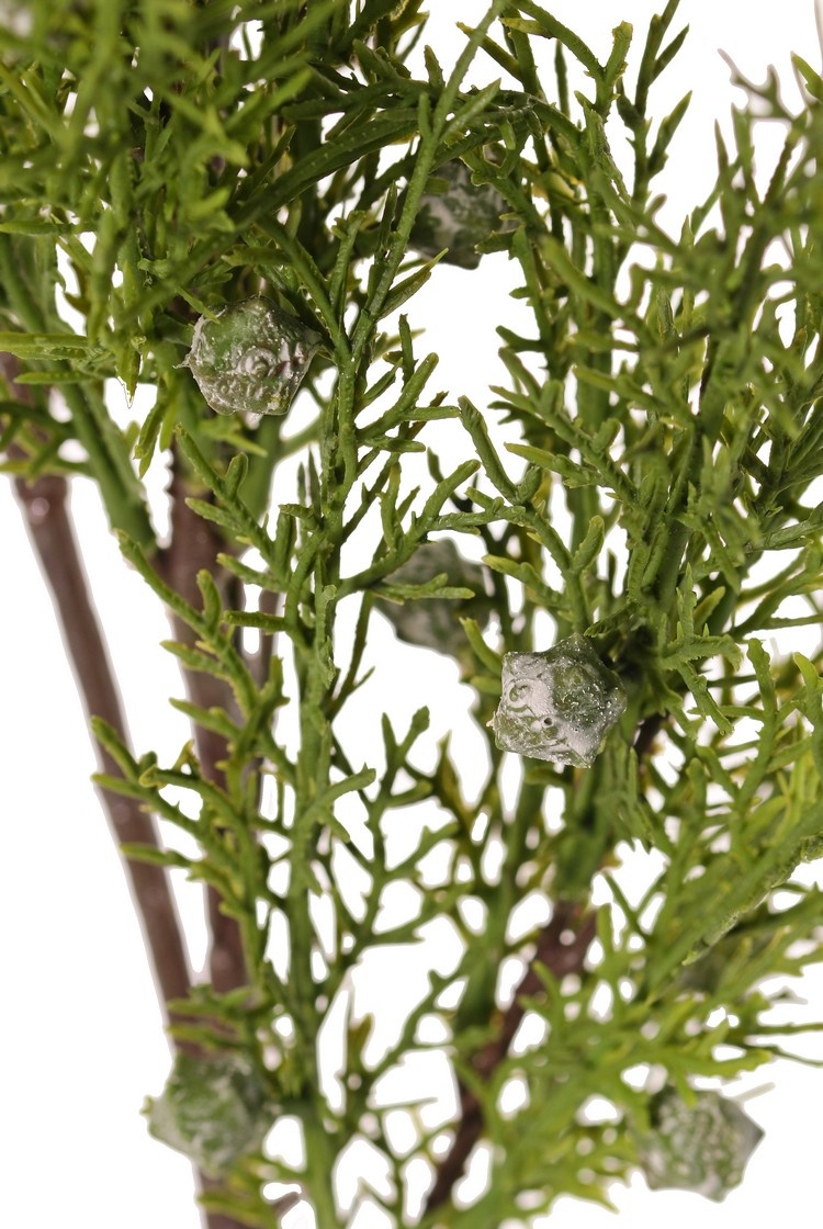 Rama de enebro (Juniperus), 5x ramificado, con 5 manojos de hojas y 30 bayas, 83 cm