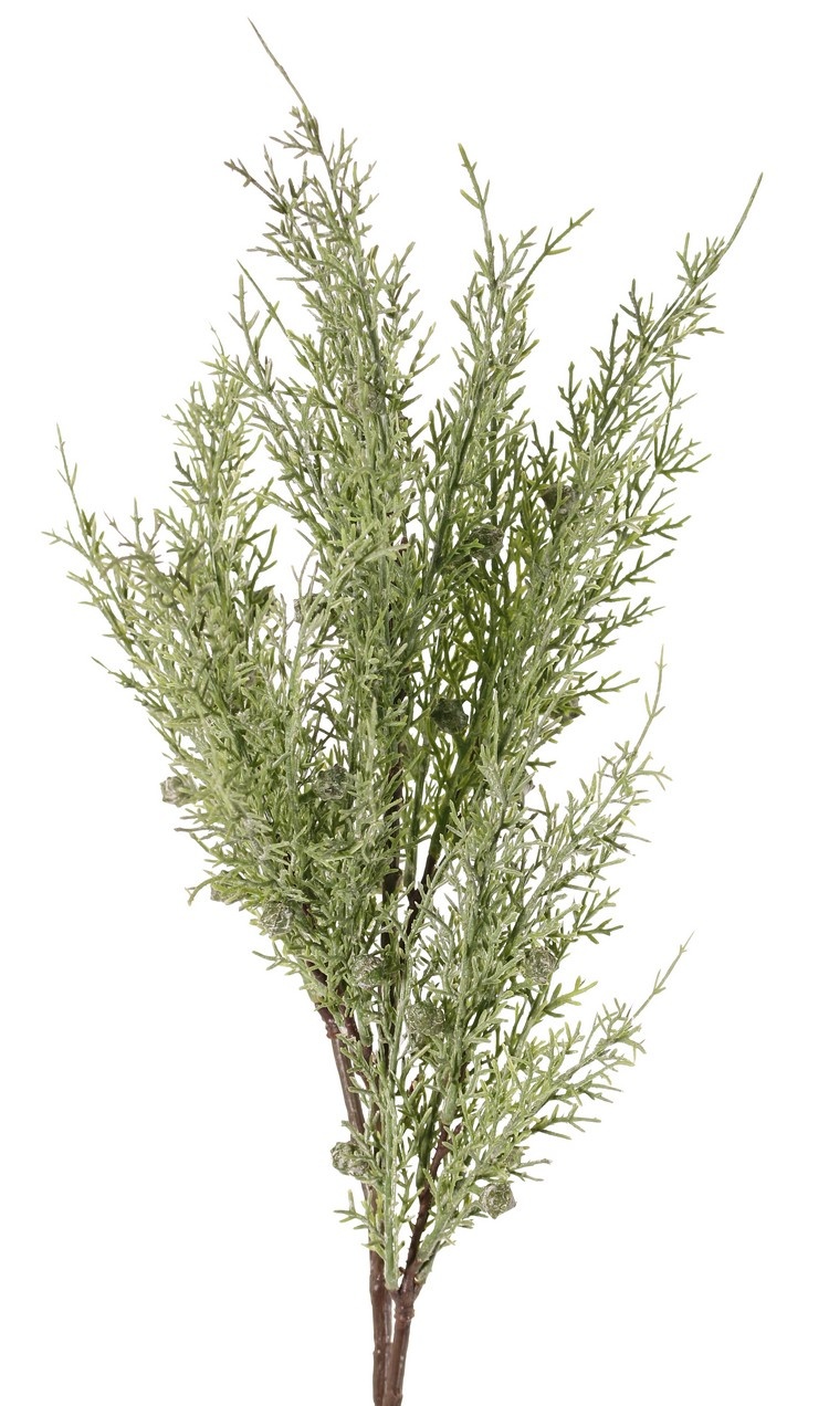 Juniperustak (Jeneverbes) 5x vertakt, met 5 bladtoeven (30 stuks) & 30 bessen, 83 cm