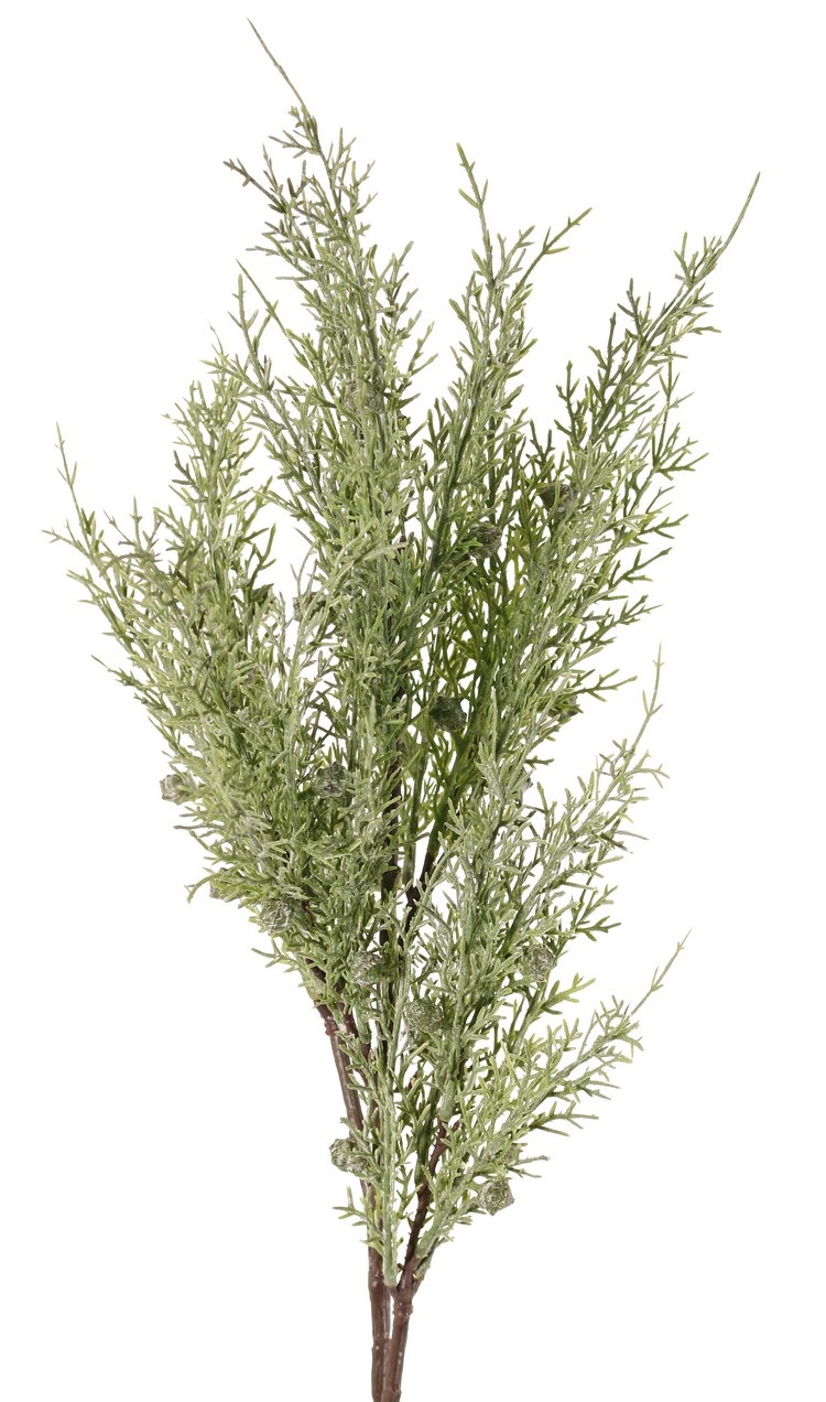 Rama de enebro (Juniperus), 5x ramificado, con 5 manojos de hojas y 30 bayas, 83 cm