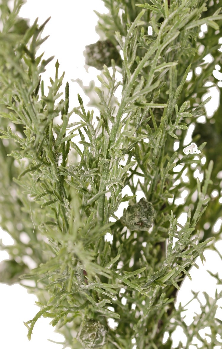 Juniper branch (Juniperus), 5x branched, 5 bunches of leaves, 30 berries, 83 cm