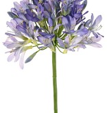 Agapanthus (African lily) 'XL' with 28 flowers (ø17*20cm) & 25 plastic buds, 88 cm