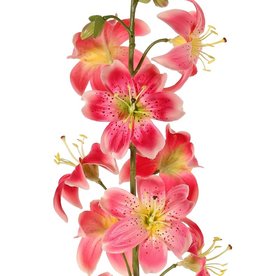 Flor de lis (Lilium) XL con 9 flores (Ø 9 cm) & 6 capullos, 98 cm