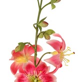Lelie (Lilium) XL met 9 bloemen (Ø 9 cm) & 6 plastic knoppen, 98 cm