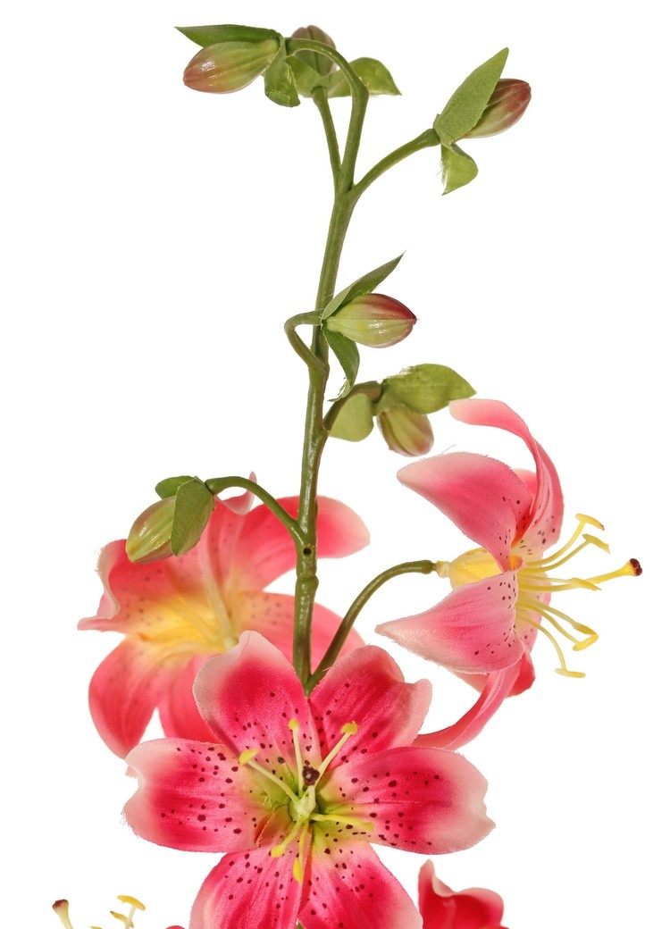 Lelie (Lilium) XL met 9 bloemen (Ø 9 cm) & 6 plastic knoppen, 98 cm