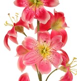 Lelie (Lilium) XL met 9 bloemen (Ø 9 cm) & 6 plastic knoppen, 98 cm