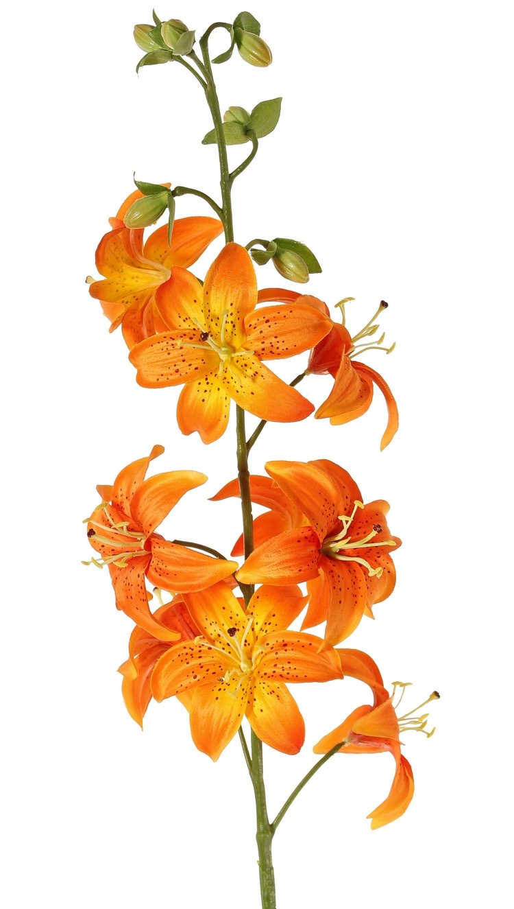 Lelie (Lilium) XL met 9 bloemen (Ø 9 cm) & 6 plastic knoppen, 98 cm