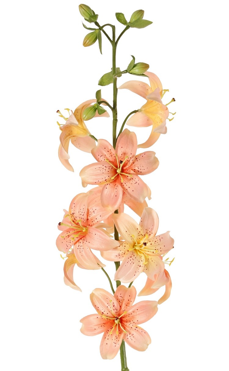 Flor de lis (Lilium) XL con 9 flores (Ø 9 cm) & 6 capullos, 98 cm