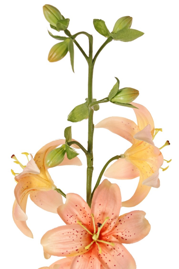 Lilie (Lilium) XL mit 9 Blumen (Ø 9 cm) & 6 Knospen, 98 cm