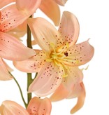 Lelie (Lilium) XL met 9 bloemen (Ø 9 cm) & 6 plastic knoppen, 98 cm